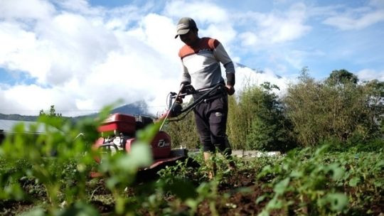 Harapan Baru di Awal Musim Tanam