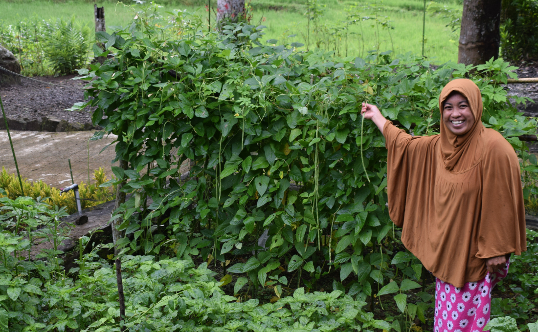 PROKLIM Datang, Pekarangan Rumah Lebih Bermanfaat  