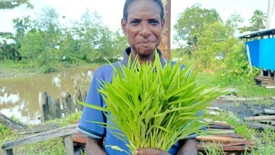 Kebun Gizi Baru untuk Keluarga Kami