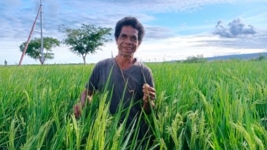 Pengetahuan Bertambah, Kualitas Pertanian Meningkat