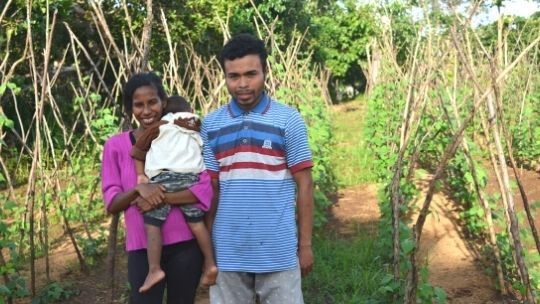 Not Only Trained but We Are also Taught to Dream