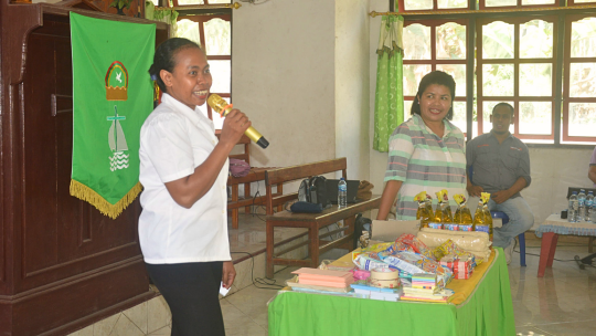 Fields of Economic Growth by Women in Alor 
