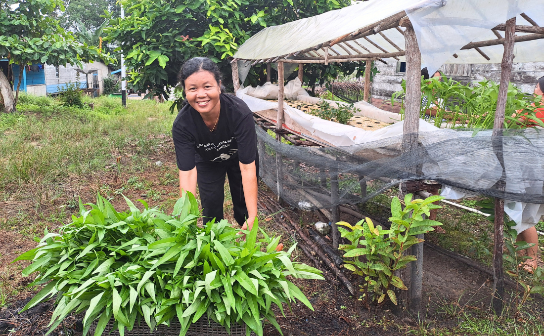 The Always Available Nutrition Garden 