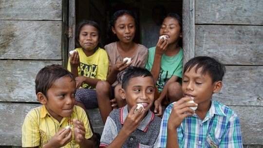 5 Benefits of Child Sponsorship for Health and Nutrition You Need to Know