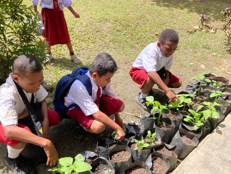 Bergizi dan Berdaya Siswa SD di Sentani dari Sekantung Polybag