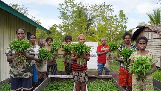 Child Nutrition Donations in Indonesia: A Concrete Solution to Stunting and Malnutrition