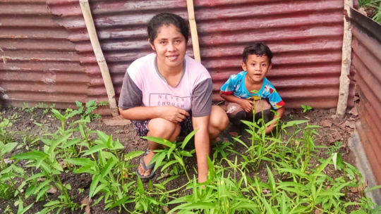 A Small Garden, A Big Impact for Families 